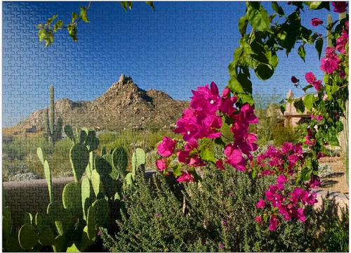 Miniatura 9 de MyPuzzle Bougainvillea with Pinnacle Peak, Scottsdale, Arizona, Estados Unidos, rompecabezas prémium de 500 piezas para adultos