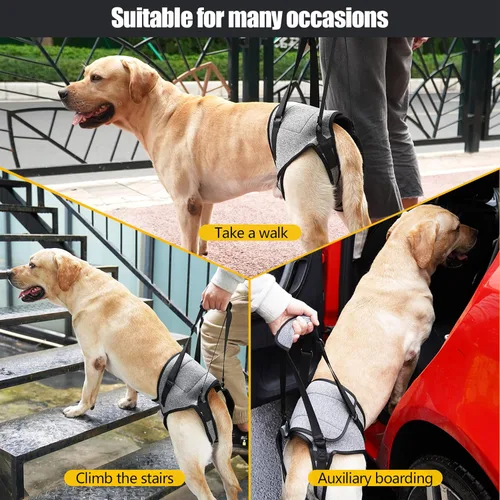 Miniatura 3 de Soporte para patas traseras para perros, cabestrillo para patas traseras, para razas medianas a grandes, perros mayores, mascotas lesionadas