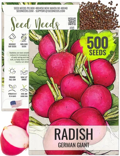 Miniatura 10 de Seed Needs Semillas de rábano para plantar rábanos sandía, reliquia sin OMG y sin tratar, cultiva un huerto cultivado en casa, cultivos para clima