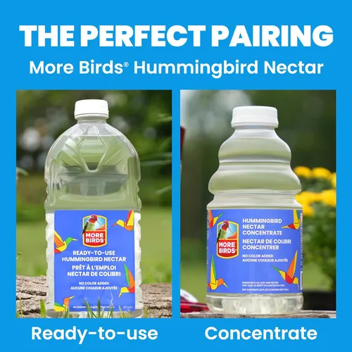 Miniatura 10 de More Birds - Comedero para colibríes de frasco Mason, comederos de vidrio para colibríes para exteriores, 5 estaciones de alimentación, 25 onzas