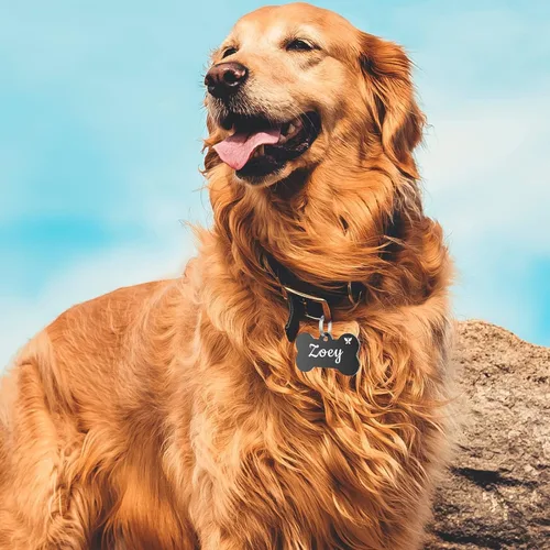 Miniatura 6 de YEHANTI Etiquetas de perro personalizadas grabadas para mascotas, placa de acero inoxidable personalizada para perros y gatos con varios iconos Hueso