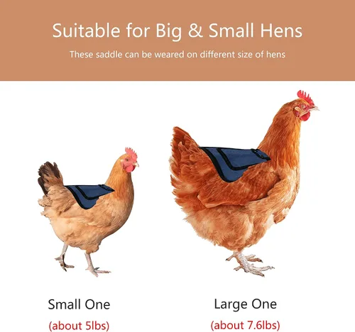 Miniatura 5 de Sillines de pollo de alta calidad de 3 piezas con correa elástica, ropa de suéter para soltero, protector de pájaros para espalda y lados