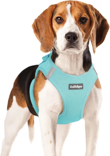 Miniatura 71 de rabbitgoo Arnés para perro pequeño, chaleco de malla suave para cachorros con hebilla de seguridad, arnés reflectante transpirable para mascotas