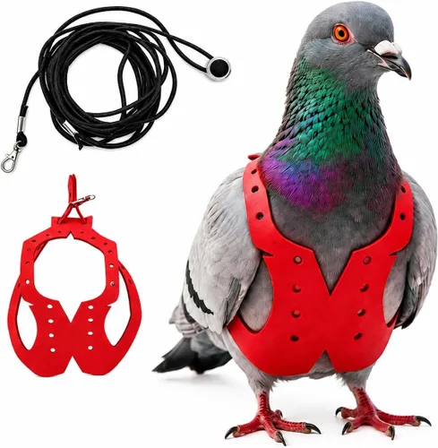 Miniatura 32 de Juego de arnés ajustable y correa para pájaros pequeños, apto para periquitos, conures, cacatúas, mejillas verdes, loros cuáqueros (verde, XS) 6350-6