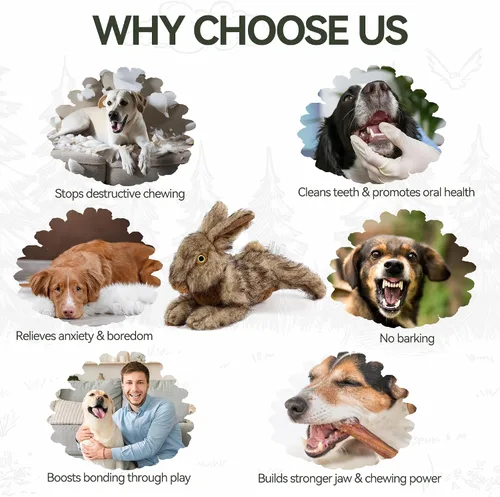 Miniatura 4 de ALL FOR PAWS Juguetes Chirriantes para Perros, Juguetes de Animales de Peluche para Perros, Juguete de Peluche para Perros Pequeños, Medianos