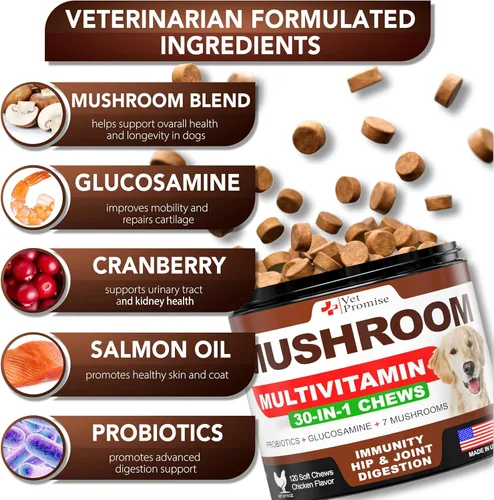 Miniatura 2 de Hongo Cola de Pavo para Perros - 170 Masticables - Suplemento de Hongos para Perros - Melena de León - Reishi - Apoyo Inmunológico Multivitamínico