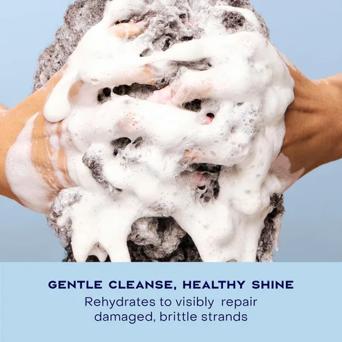 Miniatura 7 de Shea Moisture Champú Hidratar y Reparar Cabello Dañado con Miel de Manuka y Manteca de Karité 13 oz