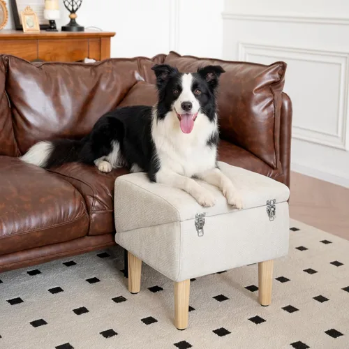Miniatura 4 de Rampa 3 en 1 para perros de 18.9 x 17.7 x 18.9 pulgadas con almacenamiento, escaleras para mascotas para perros y gatos mayores y lesionados