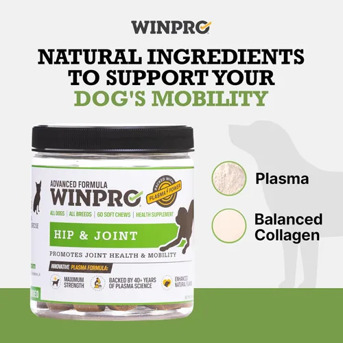 Miniatura 3 de WINPRO Suplemento para cadera y articulaciones para perros - Masticables suaves potenciados por plasma para la salud de las articulaciones