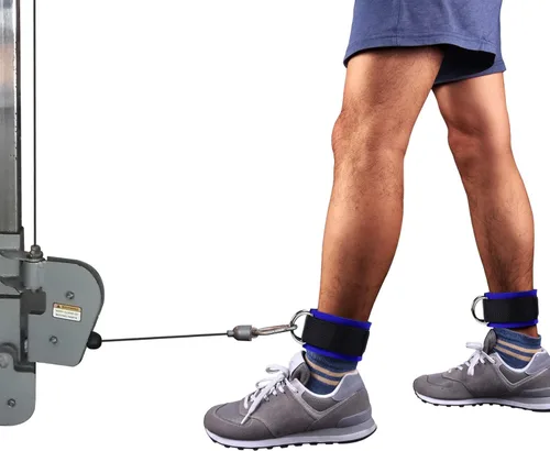 Miniatura 5 de 1 par de correas de tobillo de fitness para máquina de cable, doble anillo en D, ajuste cómodo ajustable de neopreno, para hombres y mujeres Azul