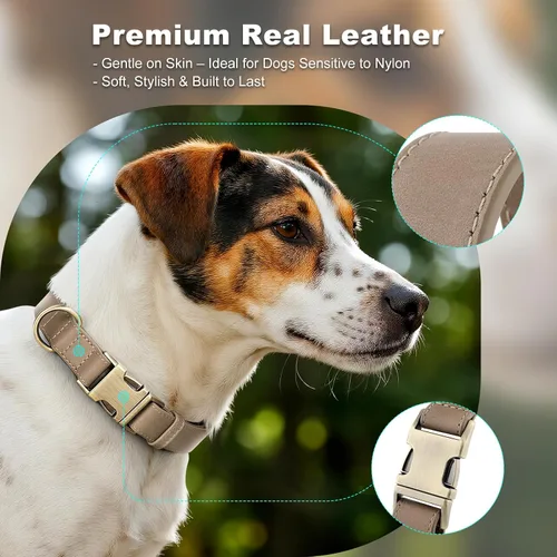 Miniatura 3 de Collar de cuero genuino para perro Plutus Pet – Collar ajustable para mascotas con hebilla de metal de liberación rápida, cuero suave y auténtico