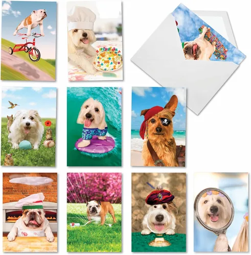 Miniatura 11 de NobleWorks Juego de 10 tarjetas de felicitación en blanco para todas las ocasiones con sobres de 5 x 7 pulgadas (10 diseños, 1 cada uno) Life's a