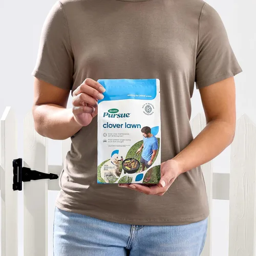 Miniatura 2 de Scotts Persigue el césped de trébol, rico en ingredientes naturales, 2 libras.