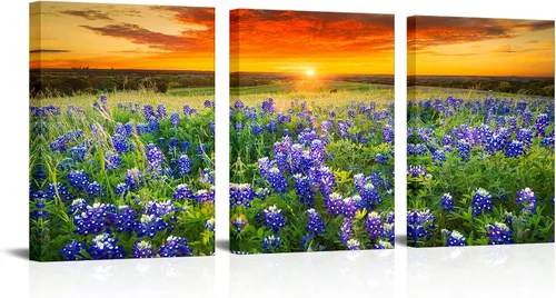 Nachic Wall Cuadro de 3 piezas de puesta de sol para pared, hermoso campo de arándanos de Texas, pintura fotográfica sobre lienzo, póster de paisaje