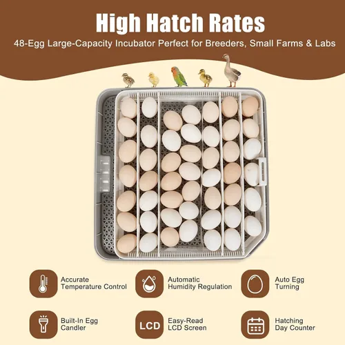 Miniatura 7 de ZEMIRO CHARGE 48 Incubadora de huevos para incubar huevos de gallina, pato, codorniz y loro, con giro automático de huevos y control de humedad