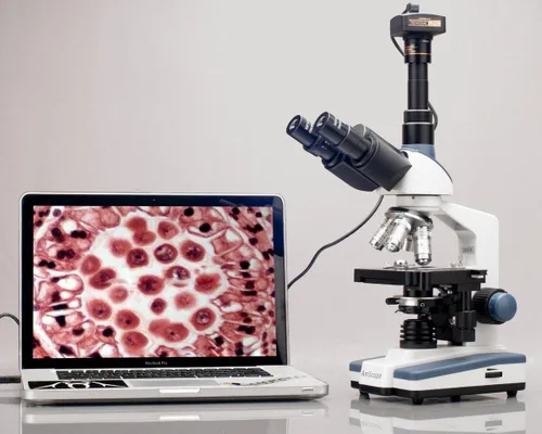 Miniatura 6 de AmScope Microscopio compuesto trinocular Siedentopf profesional T120B, aumento 40X-2000X, oculares WF10x y WF20x, Brightfield, iluminación LED