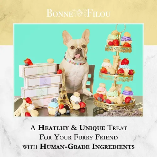 Miniatura 5 de Bonne et Filou - Macarrones gourmet para perros de Creme Brulee hechos a mano - Regalos para perros y regalos de cumpleaños - Bocadillo saludable
