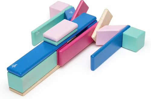 Miniatura 6 de Conjunto de 24 bloques magnéticos de madera de Tegu, talla única , Blossom