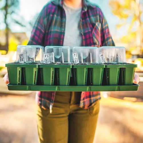 Miniatura 6 de Vego garden Seedling Suite Products, paquete de 8 bandejas de plántulas jumbo con tapas de bandeja de plántulas y bandejas de riego inferiores de 10