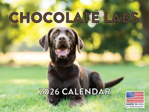 Miniatura 82 de Calendario de pared mensual 2025 Great Dane de 12 meses, fabricado en Estados Unidos
