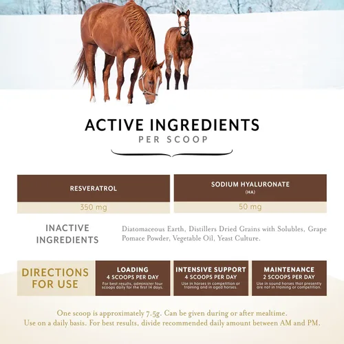 Miniatura 3 de Equithrive Suplemento original para articulaciones en polvo con resveratrol y ácido hialurónico para caballos, cuidado equino, 8 libras