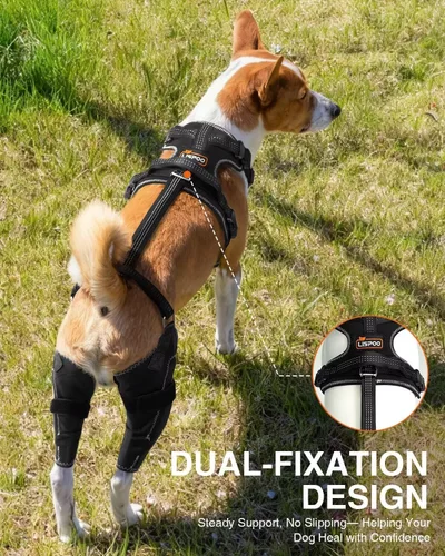 Miniatura 3 de Rodillera para Perro para Pata Trasera Rota ACL/CCL, Soporte Ajustable con Suficiente Envoltura y Apoyo para Luxación de Rótula, Rodillera