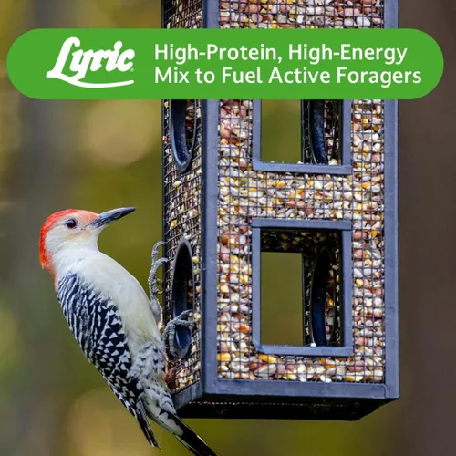 Miniatura 9 de Lyric Woodpecker - Semilla de ave silvestre sin desperdicio, con frutos secos, frutos secos y semillas sin cáscara, bolsa de 20 libras