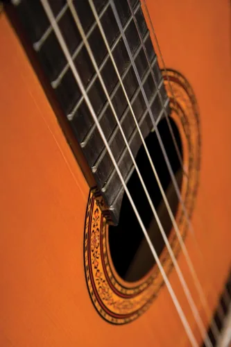 Miniatura 3 de Washburn Clásico C5, Guitarra Acústica