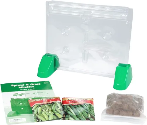 Miniatura 5 de Ventana Educational Insights, Sprout & Grow Window