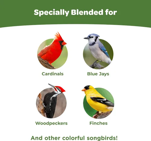 Miniatura 3 de Kaytee Wild Bird Ultimate Alimento para Aves Silvestres Sin Desorden, Semillas para Cardenales, Pinzones, Carboneros, Trepadores Azules, Pájaros