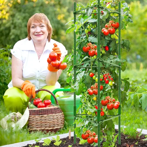 Miniatura 7 de Legigo Paquete de 4 jaulas de tomate de 4 pies para soporte de plantas de jardín, estacas de jardín de hasta 48 pulgadas, jaula de tomate