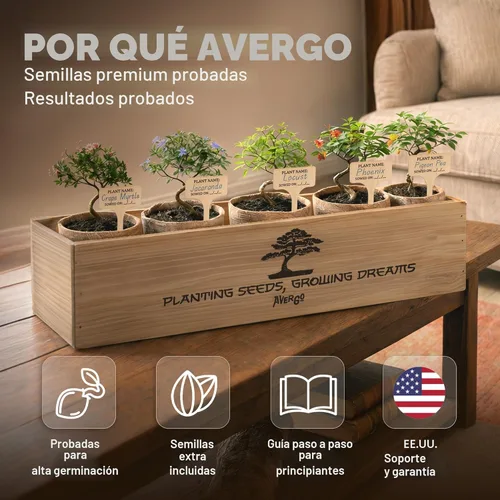 Miniatura 4 de AVERGO Kit de árbol bonsái clásico, 5 árboles bonzai japoneses únicos Kits completos de inicio de bonsái de interior para árboles en crecimiento