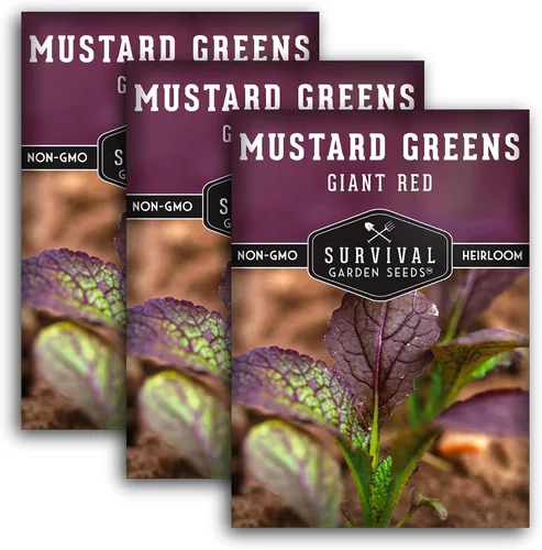 Survival Garden Seeds - Semilla gigante de mostaza roja para plantar - 3 paquetes con instrucciones para plantar y cultivar hojas picantes de
