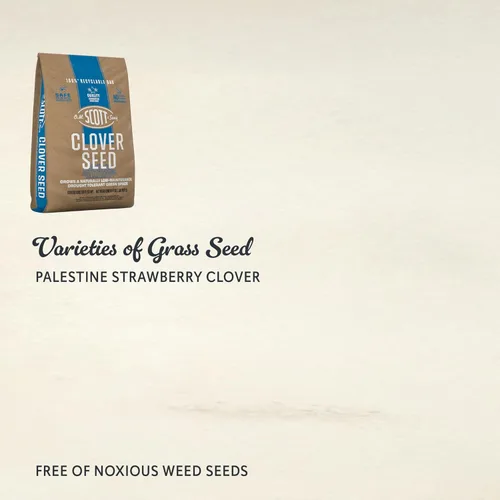 Miniatura 2 de Semillas de trébol O.M. Scott and Sons - Semillas de césped cultivan un césped naturalmente de bajo mantenimiento, tolerante a la sequía, 1,000 pies
