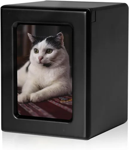 PCS Urnas de mascotas para gatos, urna de foto de gato, urnas de gato para cenizas, caja de cremación para mascotas, color negro, pequeña