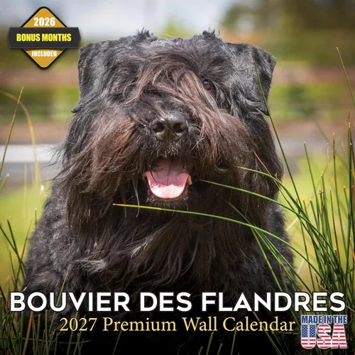 Miniatura 122 de Calendario 2025 2026 de cachorros Cocker Spaniel - Calendario mensual de pared de raza de perro - 12" x 24" abierto - Papel grueso sin sangrado