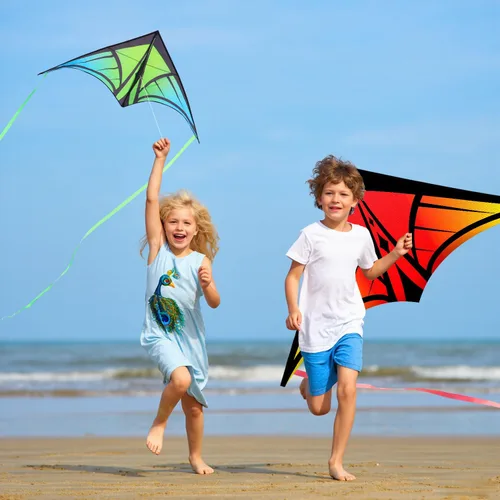 Miniatura 7 de Cometa Delta grande para niños y adultos, cometas al aire libre fáciles de volar para niños de 8 a 10 años, perfecta para actividades en la playa