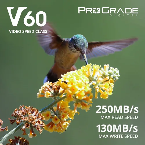 Miniatura 2 de Tarjeta SD UHS-II de 128 GB V60 – Velocidad de escritura de hasta 130 MB/s y velocidad de lectura de 250 MB/s para vloggers profesionales