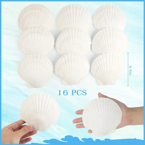 Miniatura 2 de Jangostor 16 conchas de vieira natural, conchas de vieira blancas de 4 a 5 pulgadas, conchas marinas grandes para manualidades, decoración de boda