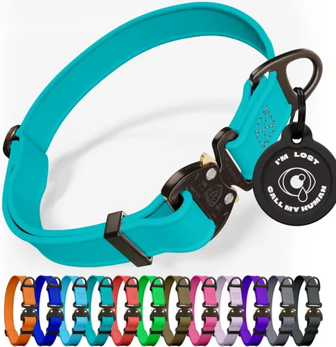 Miniatura 19 de Biothane - Collar de perro con hebilla de cobra, fabricado en Estados Unidos, etiqueta de identificación con código QR, collares de perro ajustables