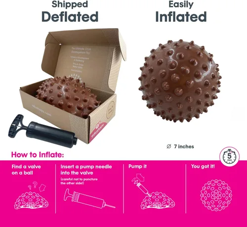 Miniatura 3 de Edushape Pelota sensorial original, bola de bebé de 7 pulgadas para el desarrollo de habilidades motoras gruesas en niños de 6 meses en adelante