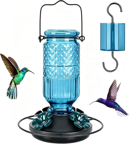 FEED GARDEN Comedero de vidrio para colibríes para colgar al aire libre, comedero de colibríes de 16 onzas con 4 puertos de alimentación con Azul