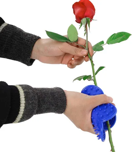 Miniatura 3 de Herramienta de mano de jardín para quitar espinas, herramienta para quitar espinas, 4 uds