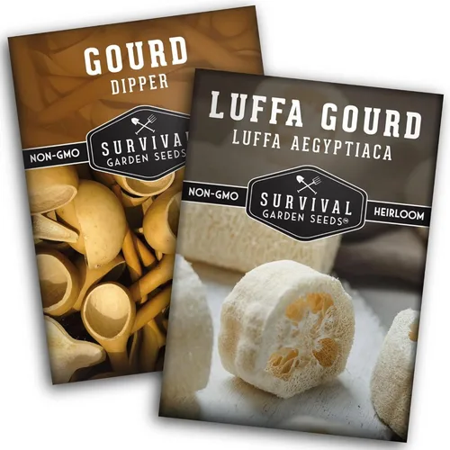 Semillas de calabaza de lufa y Dipper para plantar – Colección de semillas de esponjas y calabazas ornamentales Luffa – Paquete variado de reliquia