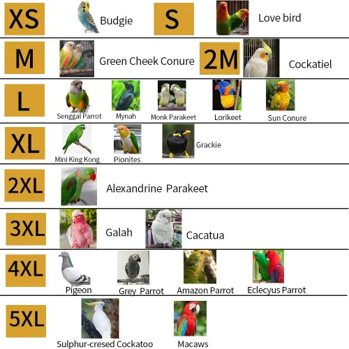 Miniatura 7 de Chaleco de arnés de vuelo de pájaro, traje de vuelo de loro con correa para periquitos, cacatúas, conures budgies, ropa de vuelo de pájaros