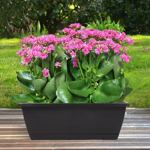 Miniatura 3 de 8 maceteros de ventana, cajas de flores para ventana de 17 pulgadas, maceteros rectangulares con agujeros de drenaje y bandejas, macetas de plástico