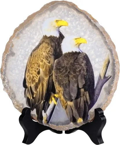 Rockcloud Exhibición de losa de ágata de águila calva con soporte de madera de forma irregular de ágata en rodajas de piedra para el hogar, oficina,
