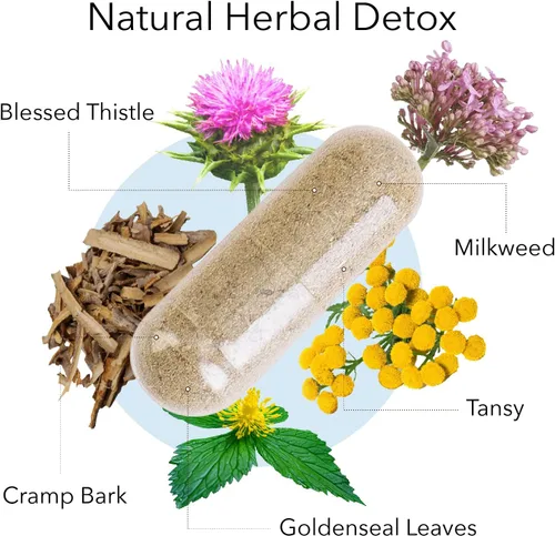 Miniatura 4 de Kroeger Herb Products, Fórmula Candida #2, Suplemento de apoyo de limpieza para mujeres y hombres – Ayuda a mantener los niveles de levadura