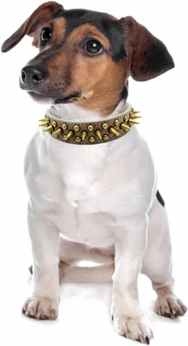 Miniatura 6 de Spike - Collar de perro con remaches con tachuelas vintage de bronce para cachorros, perros pequeños, medianos y grandes, azul, XS