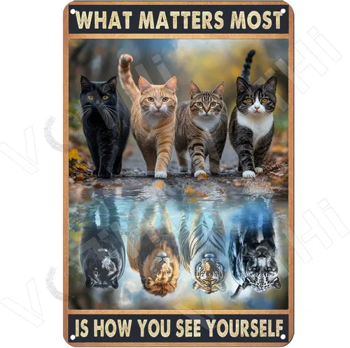 Bonitos letreros decorativos de gato negro, con texto en inglés «What Matters Most, Is How You See Yourself», letreros de metal vintage para